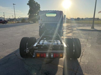 2024 Chevrolet Low Cab Forward 4500 1WT